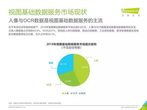 中國(guó)人工智能基礎(chǔ)數(shù)據(jù)服務(wù)行業(yè)報(bào)告 驅(qū)動(dòng)軟件開發(fā)的未來引擎